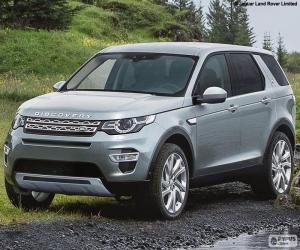 Puzzle Discovery Sport, 2015
